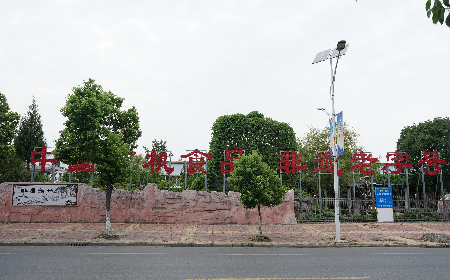 當(dāng)定制葛粉時(shí)，我們真正在選擇什么？