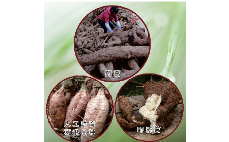 買葛粉是買野生的好？還是野生有機(jī)的好？